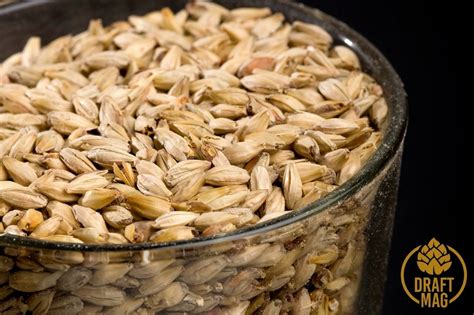 how to make malted barley.